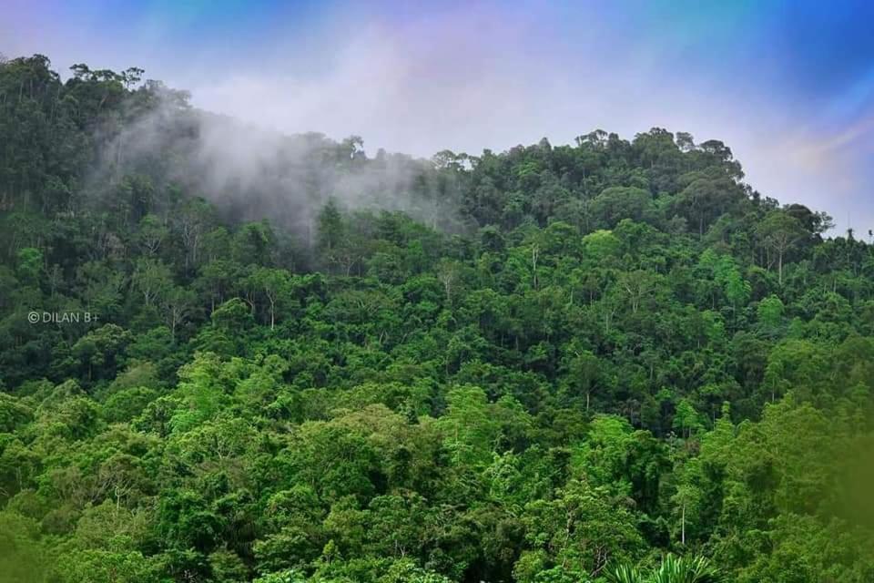 Sinharaja Forest Gate Deniyaya Zewnętrze zdjęcie