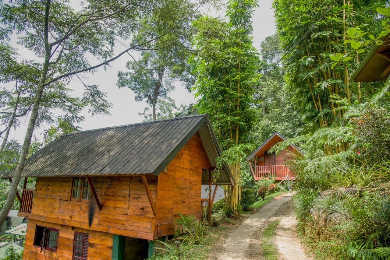 Sinharaja Forest Gate Deniyaya Zewnętrze zdjęcie