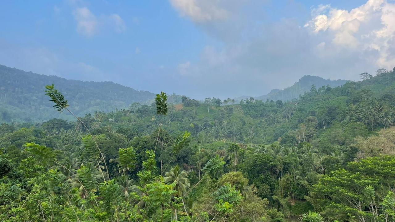 Sinharaja Forest Gate Deniyaya Zewnętrze zdjęcie