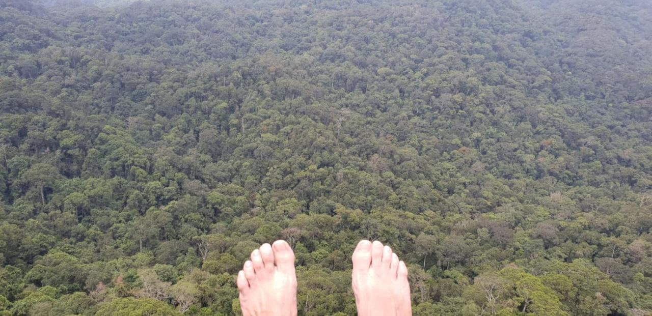 Sinharaja Forest Gate Deniyaya Zewnętrze zdjęcie