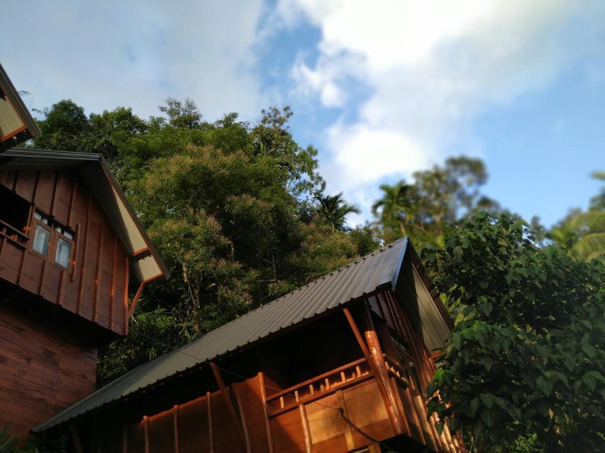 Sinharaja Forest Gate Deniyaya Zewnętrze zdjęcie